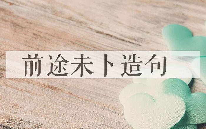 用前途未卜造句
