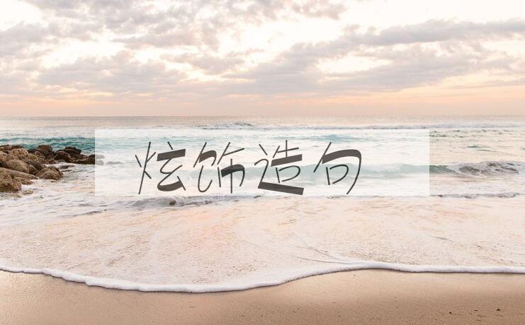 用炫饰造句