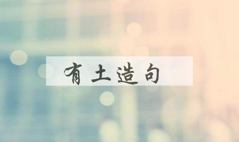 用有土造句