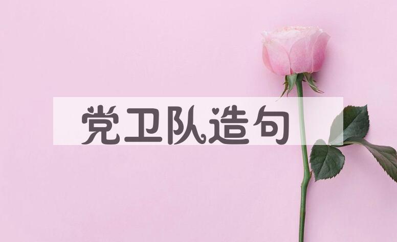 用党卫队造句