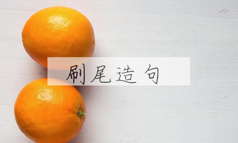 用刷尾造句