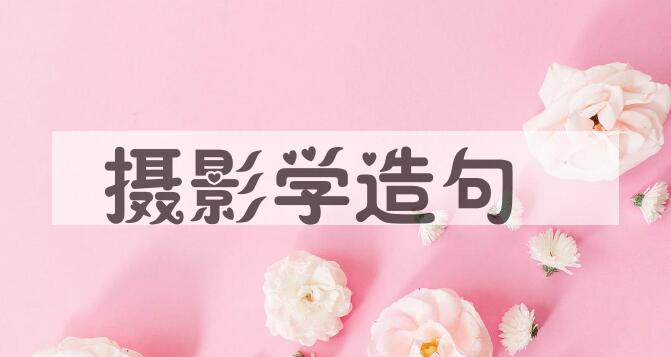 用摄影学造句