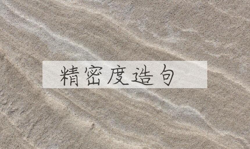 用精密度造句