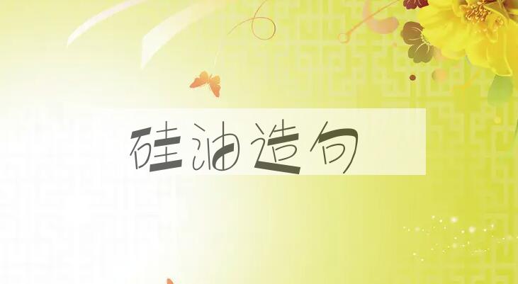 用硅油造句