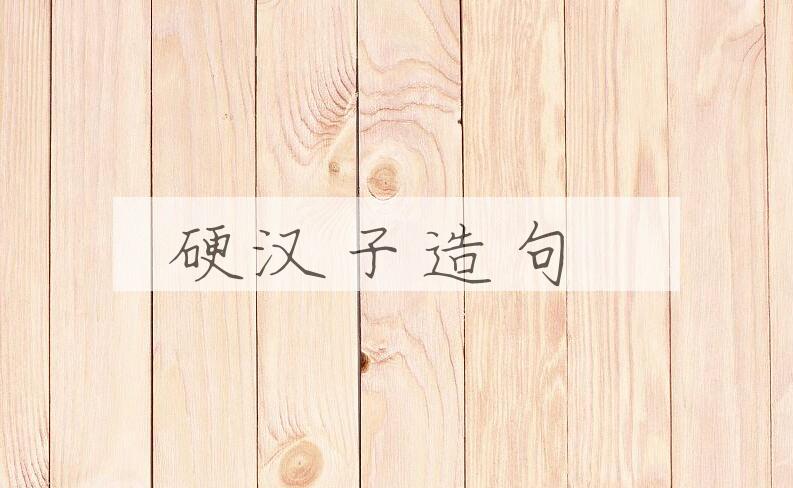 用硬汉子造句