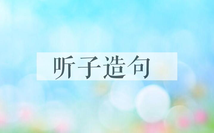 用听子造句