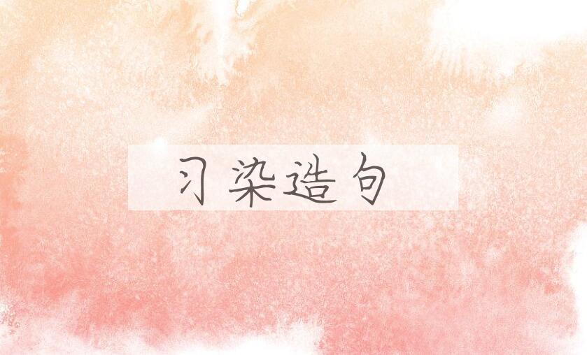 用习染造句