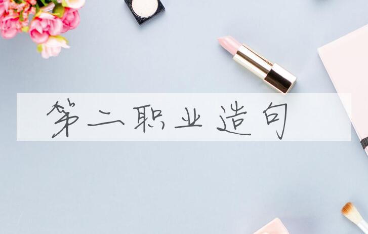用第二职业造句