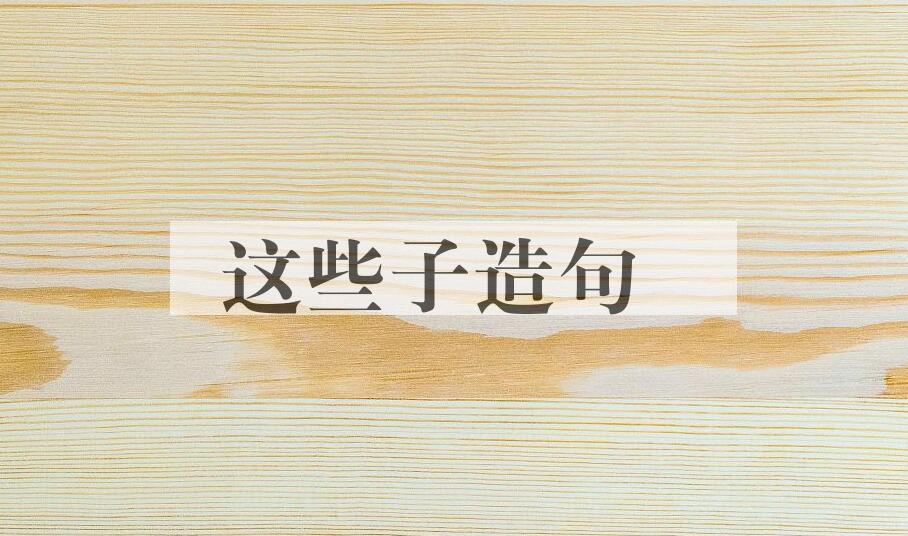 用这些子造句