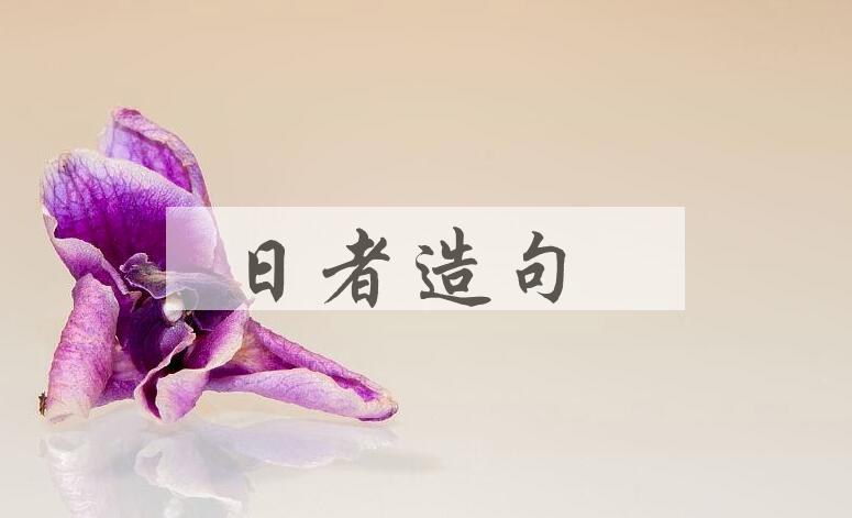 用日者造句