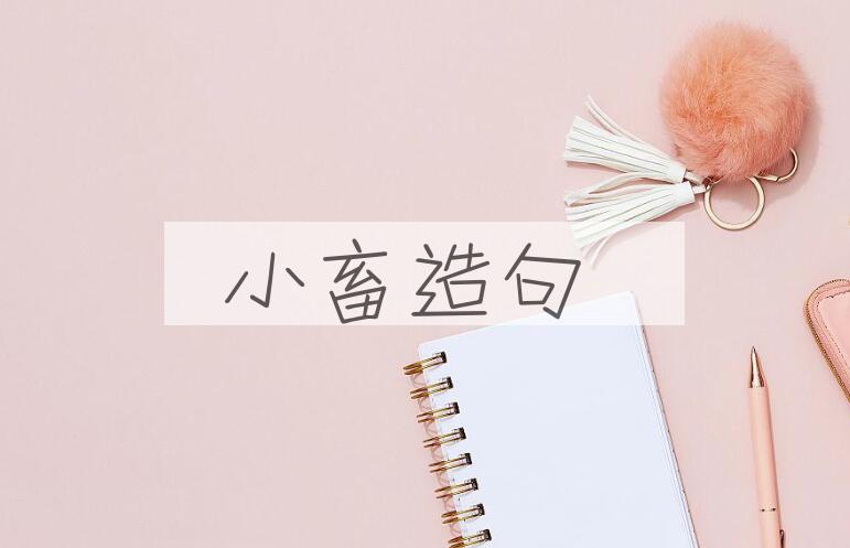 用小畜造句
