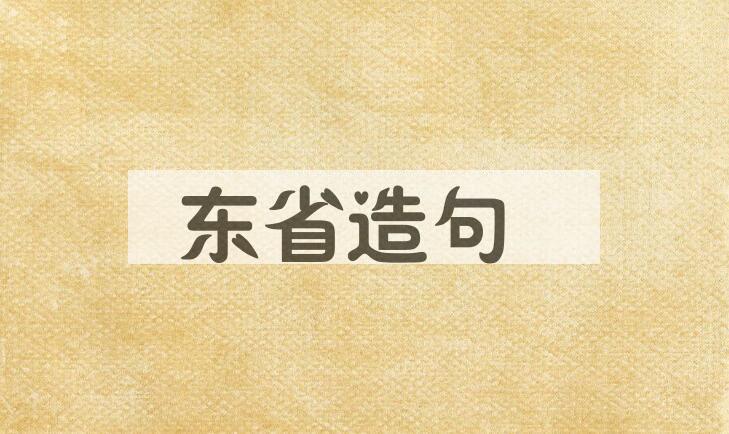 用东省造句