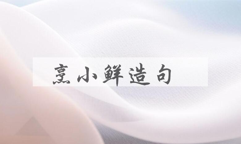 用烹小鲜造句