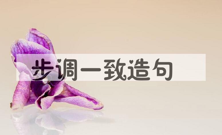 用步调一致造句