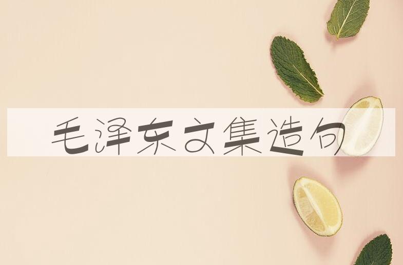 用毛泽东文集造句
