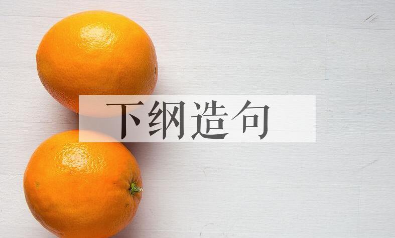 用下纲造句