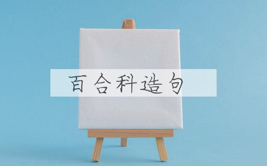 用百合科造句