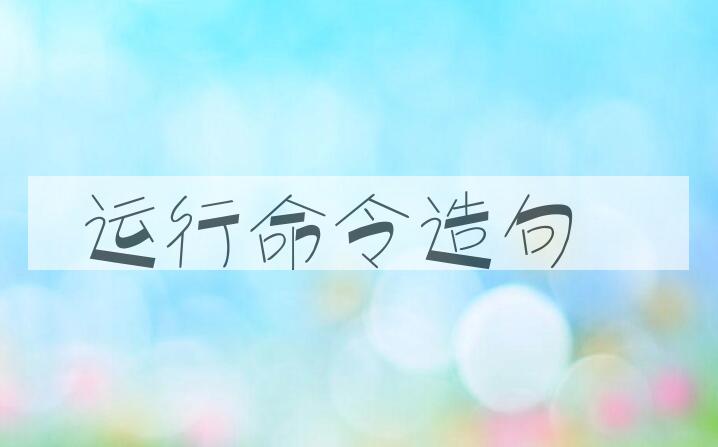用运行命令造句