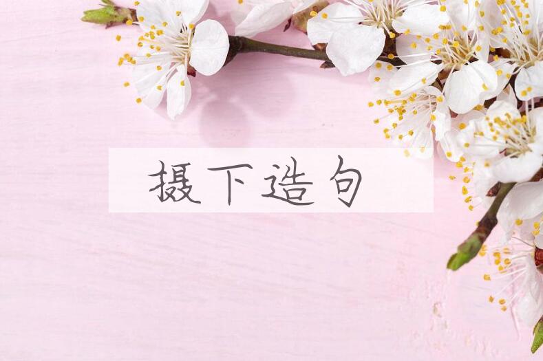 用摄下造句