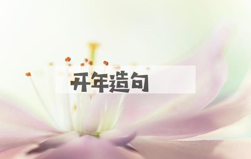 用开年造句