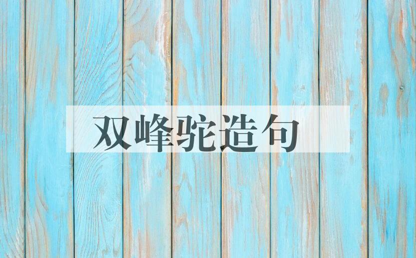 用双峰驼造句
