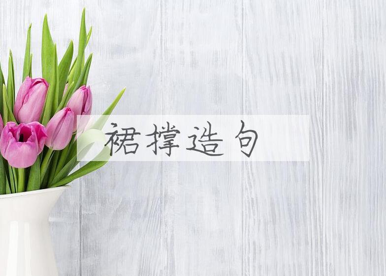 用裙撑造句