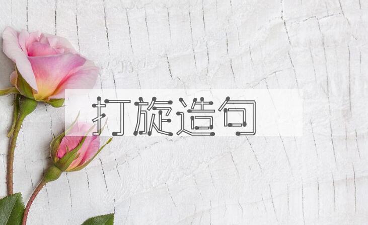 用打旋造句
