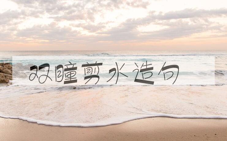用双瞳剪水造句