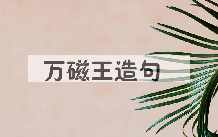 用万磁王造句