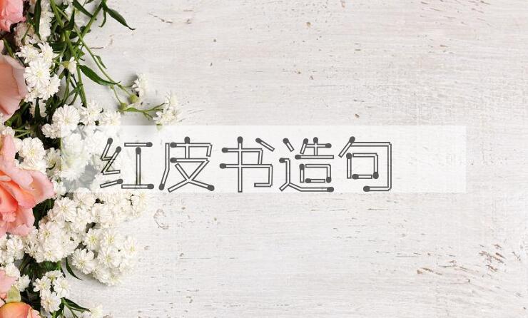 用红皮书造句