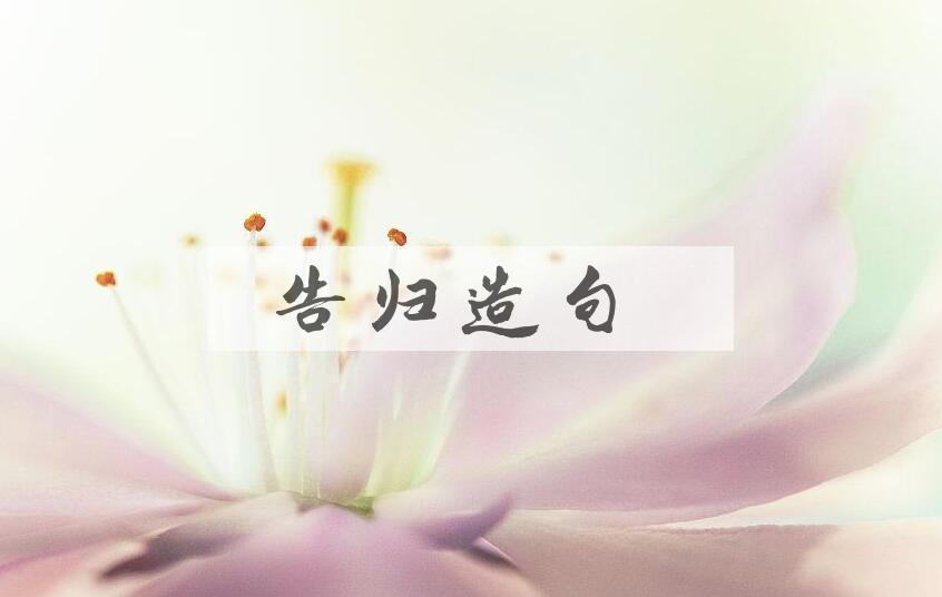 用告归造句