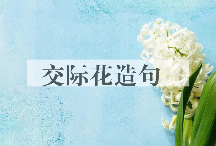 用交际花造句