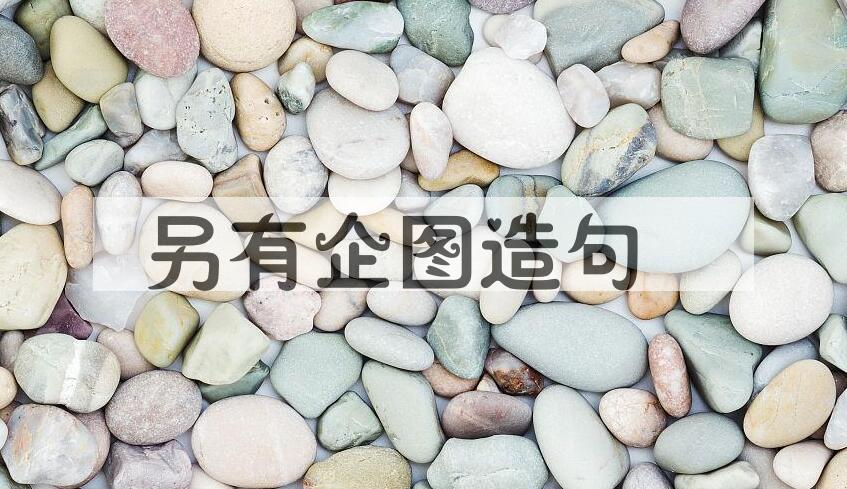 用另有企图造句
