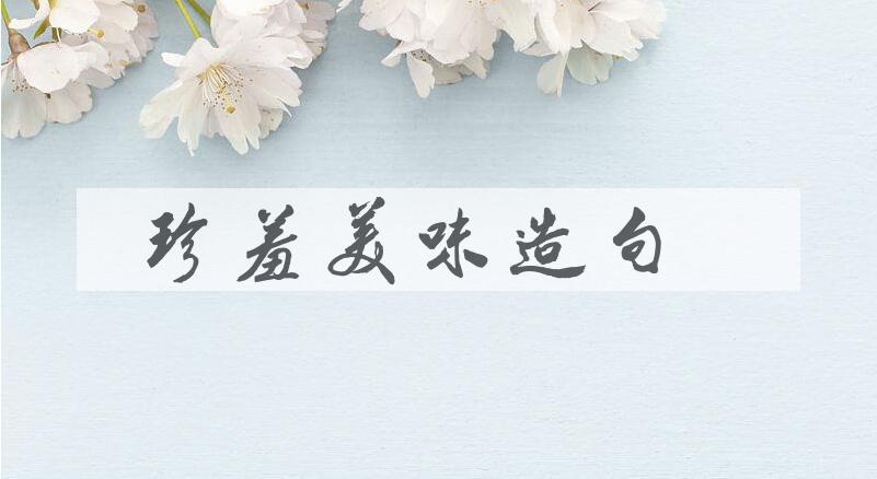 用珍羞美味造句