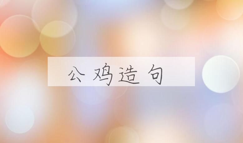 用公鸡造句