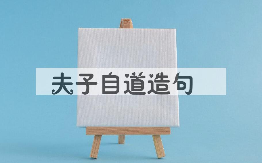 用夫子自道造句