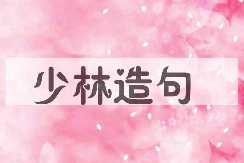 用少林造句