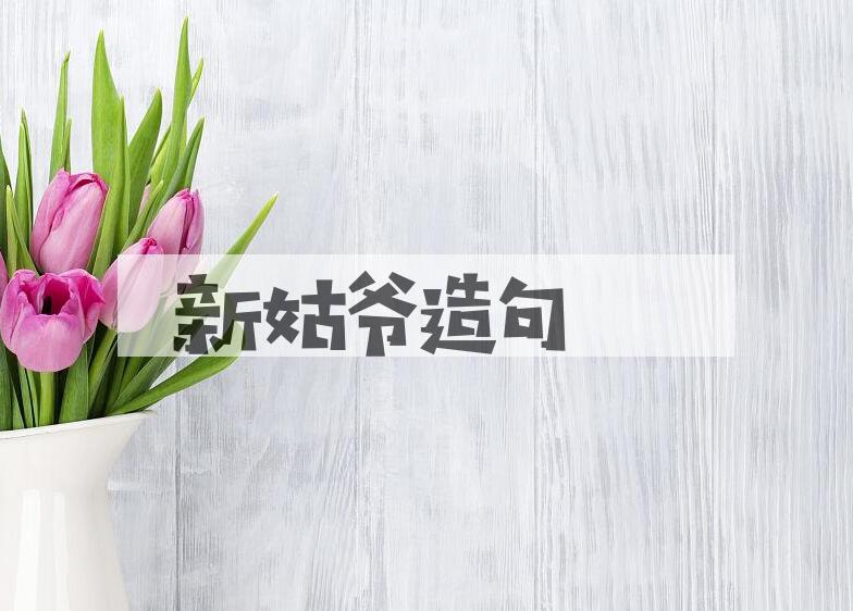 用新姑爷造句