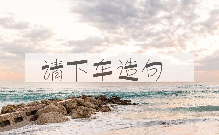 用请下车造句