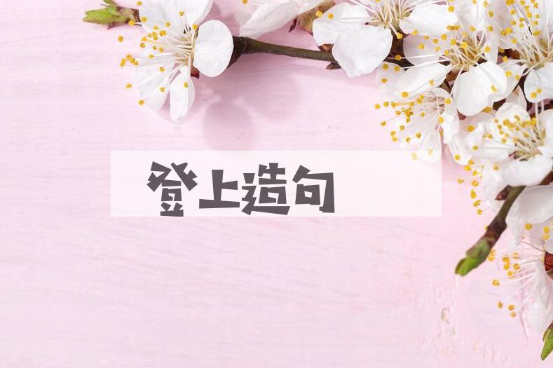 用登上造句