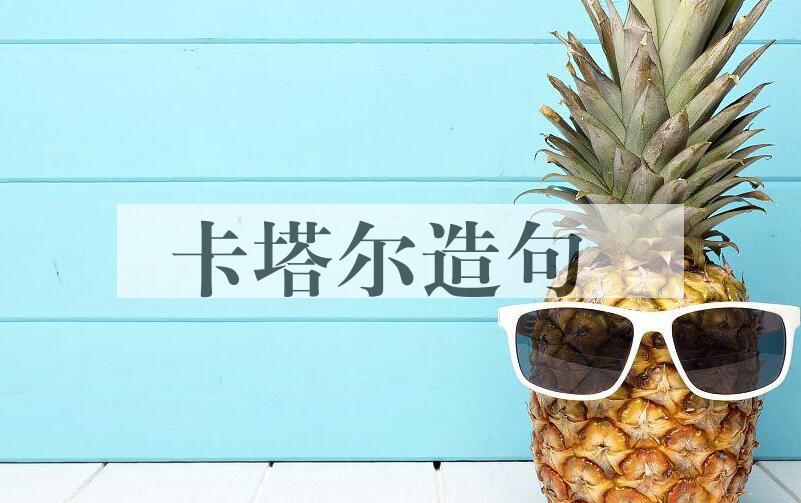 用卡塔尔造句