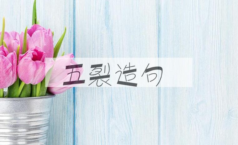 用五裂造句