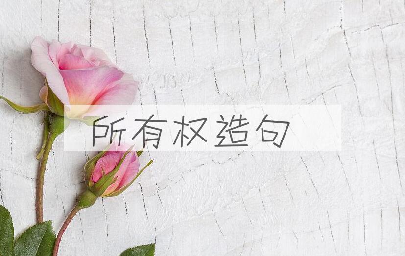 用所有权造句