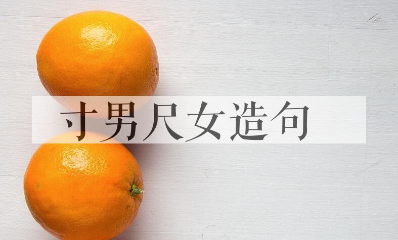 用寸男尺女造句