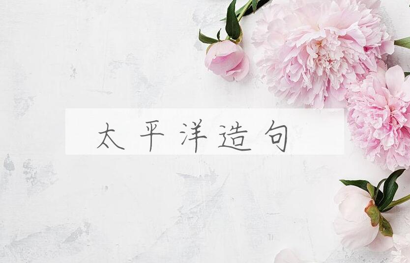 用太平洋造句