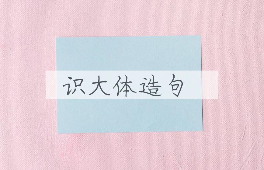 用识大体造句