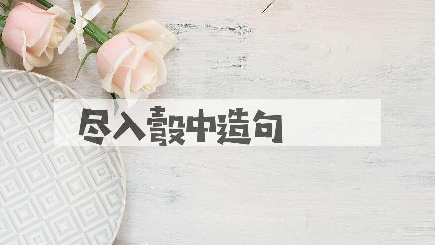 用尽入彀中造句