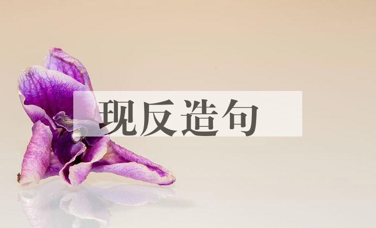 用现反造句