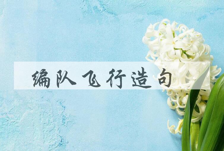 用编队飞行造句