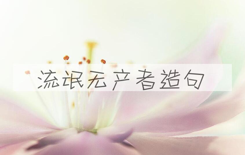 用流氓无产者造句